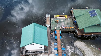 Dead fish float on the water following a fish die-off, which experts believe could be a result of low water levels due to drought, in Belgrade, Serbia. Reuters