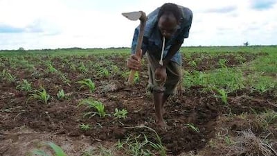 The One Acre Fund aims to help smallholding farmers, like this one in Kenya, to improve their crop yields. Simon Maina /AFP