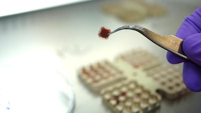 Quartz disc with dried Aspergillus niger spore samples. The fungi survived a trip to Earth's stratosphere.