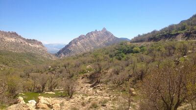 Qaradagh protected area. Photo: Korsh Ararat