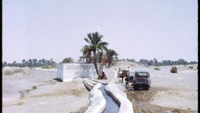 An aflaj in the Al Ain area taken at some point between 1962 and 1964. The development of the falaj system allowed settlements to expand. Courtesy David Riley