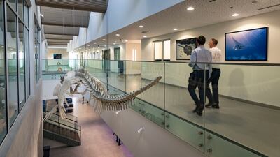 The new Sharjah Marine Science Research Centre overlooks Shark Island in Khor Fakkan