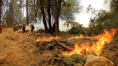 Firefighters battle the Ferguson Fire, the largest fire in the Sierra National Forest's history, in California on August 8. Courtesy US Forest Service