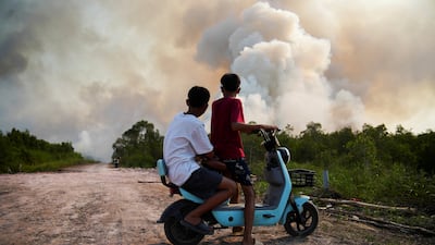 Children watch a wildfire in Ogan Ilir regency, South Sumatra province, Indonesia. Reuters