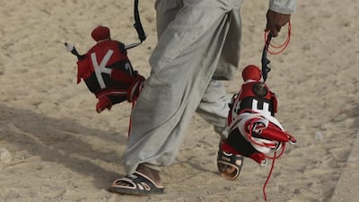 A camel keeper carries robotic jockeys ahead of a race at the Al Marmoom Camel Racetrack.