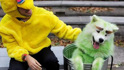 Mark Belio, dressed as Big Bird of Sesame Street, sits with Biff the Samoyed, dressed as Oscar the Grouch, at the Tompkins Square Halloween Dog Parade in Manhattan, New York City. Reuters