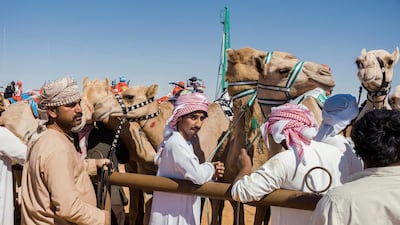At the starting grid. Maxime Fossat for The National