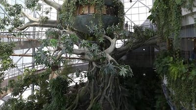 Inside view of the Indoor Green Planet Dubai at the City Walk area in Dubai.