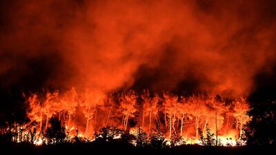 A wildfire at Les Pennes-Mirabeau, near Marseille, southern France. Boris Horvat / AFP Photo