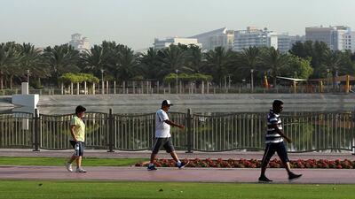 Satish Kumar / The National