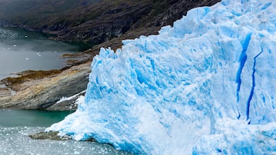 'The Twelfth Expedition of the Schooner Tara' by Maeva Bardy. Photo: Maeva Bardy / The Tara Ocean Foundation, with the participation of 'Le Figaro Magazine'