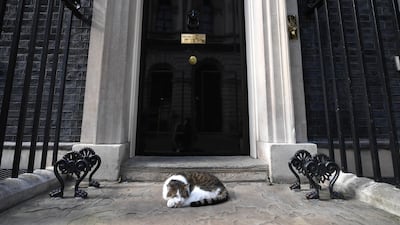 Larry the Cat waits for new occupant of 10 Downing Street. Chris J Ratcliffe / Getty Images