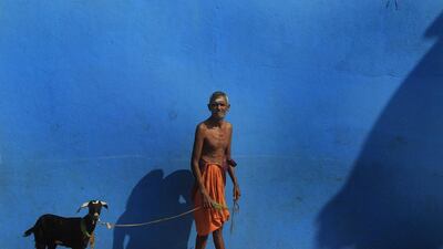 A Hindu priest leads a goat under a tree, on a hot day, at a Hindu temple in Colombo March 18, 2014. Dinuka Liyanawatte / Reuters