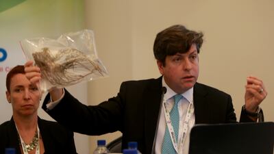 Alejandro Rios, Director, Sustainable Bioenergy Research Consortium presents the Salicornia bigelovii plant while speaking on progress by the Sustainable Bioenergy Research Consortium (SBRC) to research and develop sustainable aviation biofuel in the UAE. Ravindranath K / The National