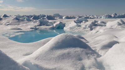 Microplastic has ended up in some of the world's most pristine environments, including the Arctic. EPA