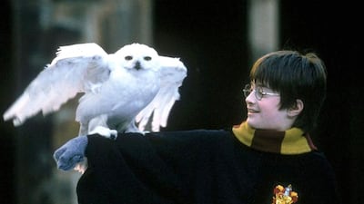 Harry Potter and his owl Hedwig. Courtesy Warner Bros.