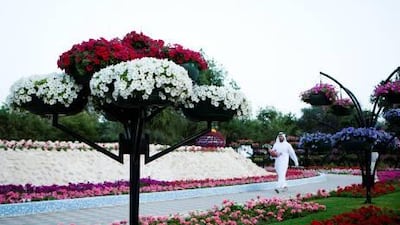 The Al Ain Paradise Gardens set another Guinness world record for the most hanging flower baskets as it reopened to the public on Monday.