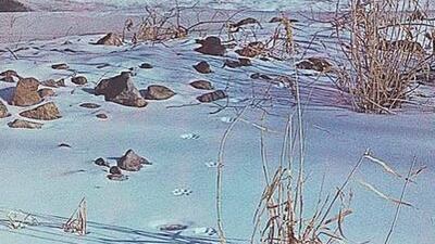 Courtesy HarperCollins Publishers