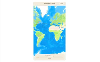 Carrier Pidge can take multiple days to deliver one message. Photo: Carrier Pidge