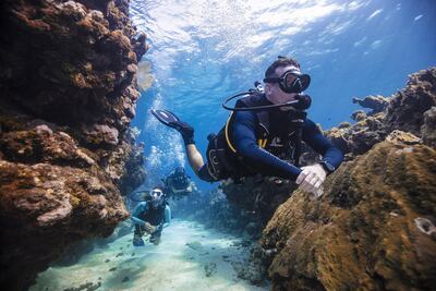 The Divers Down Life Changer course includes a series of Padi qualifications. Courtesy Padi