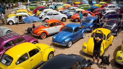 Cars owned by the Israeli Beetle club, which has 500 members.