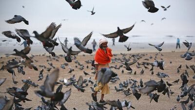 A Hindu holy man walks amongst birds flying at a beach along the Arabian Sea in Mumbai. Danish Siddiqui / Reuters