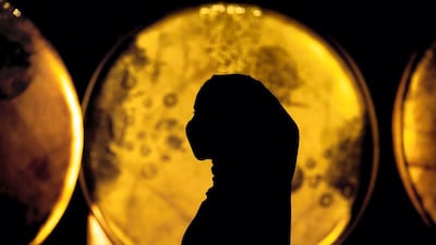 The festival helps to shine a light on creativity, uniting artists from all over the world with its 'Under One Sky' theme. SPA