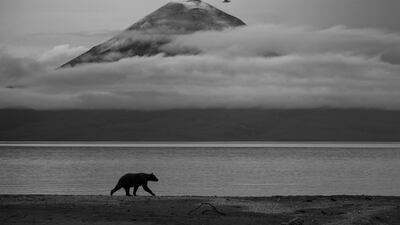 'Essence of Kamchatka' by Kesshav Vikram of India, taken at Kurile Lake, Russia