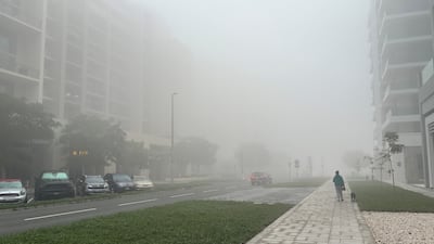 Residents complained of 'zero visibility' in the foggy conditions. Reena Ratan / The National