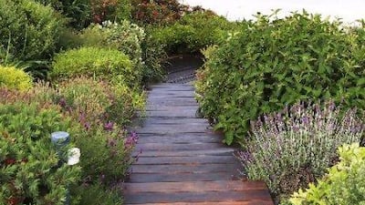 Indigenous plants including grevillea and kangaroo paw attract area wildlife and are strong enough to endure the coastal wind and salt.