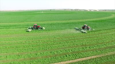 The site is run by Abu Dhabi’s Elite Agro, which produces and supplies fruit and vegetables across the region. The company also safeguards the species that visit and live there. Courtesy Elite Agro