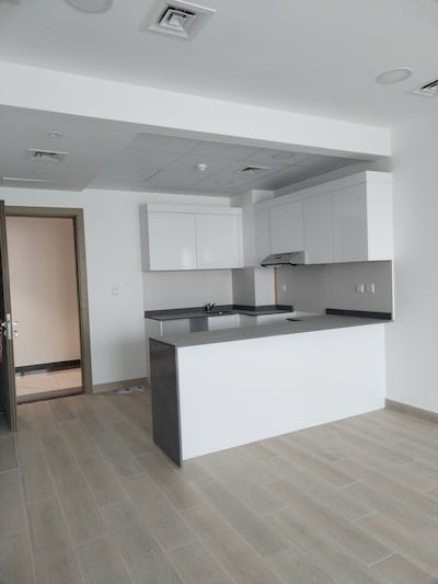 Mr Rangel was a fan of the apartment's natural light and gave the 'blank canvas' a complete overhaul. Photo: Jorge Rangel