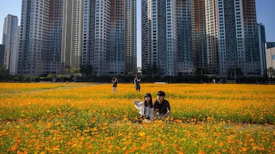 People pose for photos among a field of cosmos flowers in a car park before high-rise apartment buildings in Goyang, west of Seoul. AFP