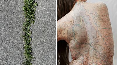 Julia Ovchinnikova, Russian Federation, Shortlist, Professional competition, Creative, Sony World Photography Awards.