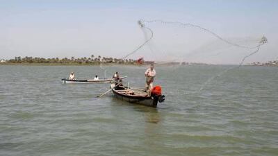 A fisherman casts his net into the waters of the Shatt al Arab river near Basra, Iraq.