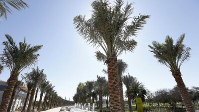 Promenade of the newly revamped Mushrif Central Park. Courtesy Mushrif Central Park