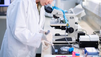 Dr Clara Malo, senior scientist and head of andrology, working with a camel semen sample. Her research is in developing extenders for fresh and frozen sperm, sperm freezing, in -vitro sperm-oocyte interactions and embryology. Reem Mohammed / The National