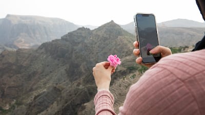 A tourist from Muscat holds up a rose against the mountain range for an Instagram picture.