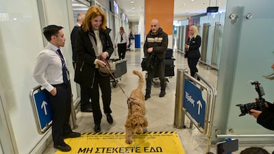 The arriving pets were given a warm welcome in Greece by waiting officials and media. Getty Images