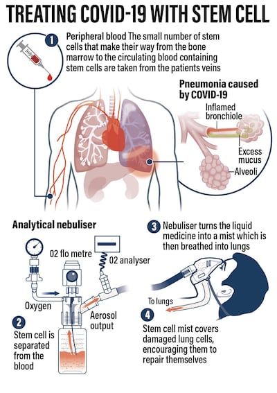 Roy Cooper / The National