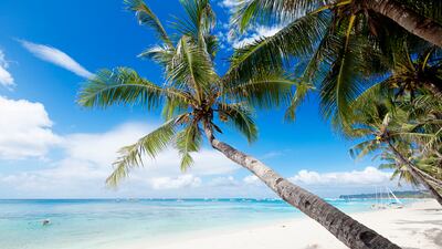 10. Tropical white sand beach with coconut trees and turquoise waters on Boracay island, the Philippines.