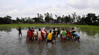 Indian farmers prepare the bulls. Dibyangshu Sarkar / AFP
