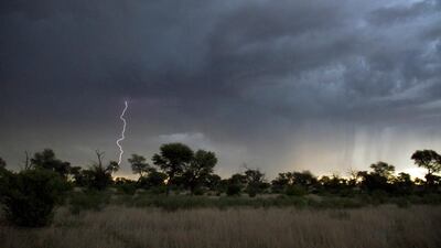 14 HIGHLY COMMENDED: electricity. Photo by David Costantini