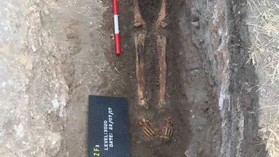 Human remains from the 17th century Portuguese cemetery. Photo: Tim Power