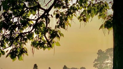 In 2018, Lane's End was named Leading Stud Farm in America for the 14th time. Photo: Lane's End