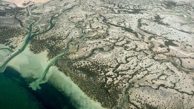 Mangroves at Saadiyat Island, Abu Dhabi – an environment rich in wildlife and part of the nation’s heritage. Liz Claus / The National
