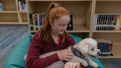 Evie Hollis, 14, greets Ziggy and Marshall most mornings before she goes to lessons.