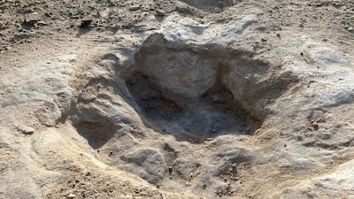 Severe drought conditions led to the tracks exposure. AFP