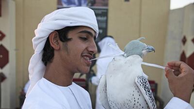 Rashid Mohammed Al Hamadi with his falcon. Lee Hoagland / The National