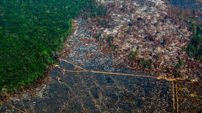 Deforestation in the Amazon rainforest in northern Brazil surged to about 10,000 square kilometres in the year to July 2019 – the highest rate in more than a decade, officials said on November 18, 2019. AFP